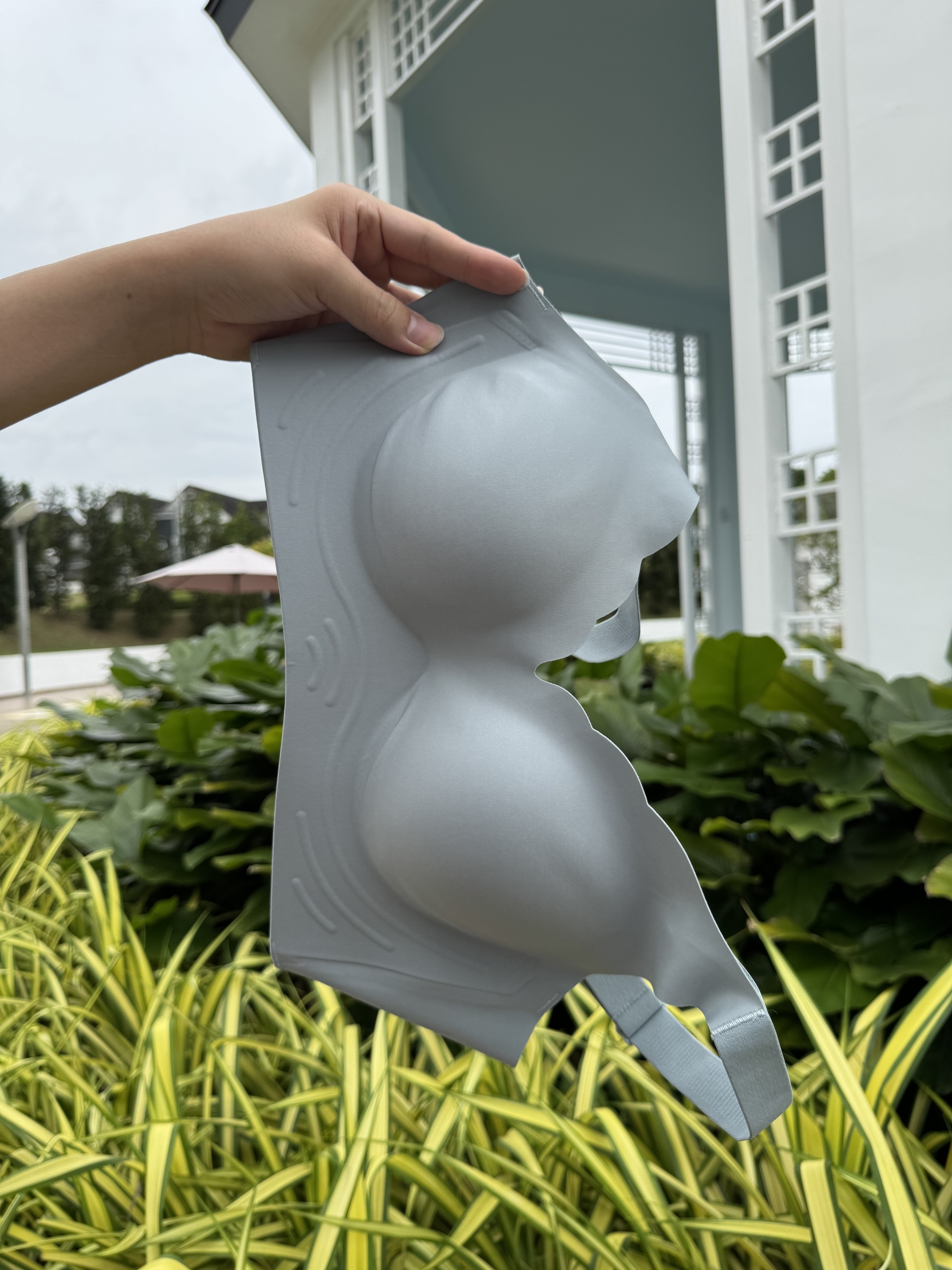 IMG_0336-1734100673181