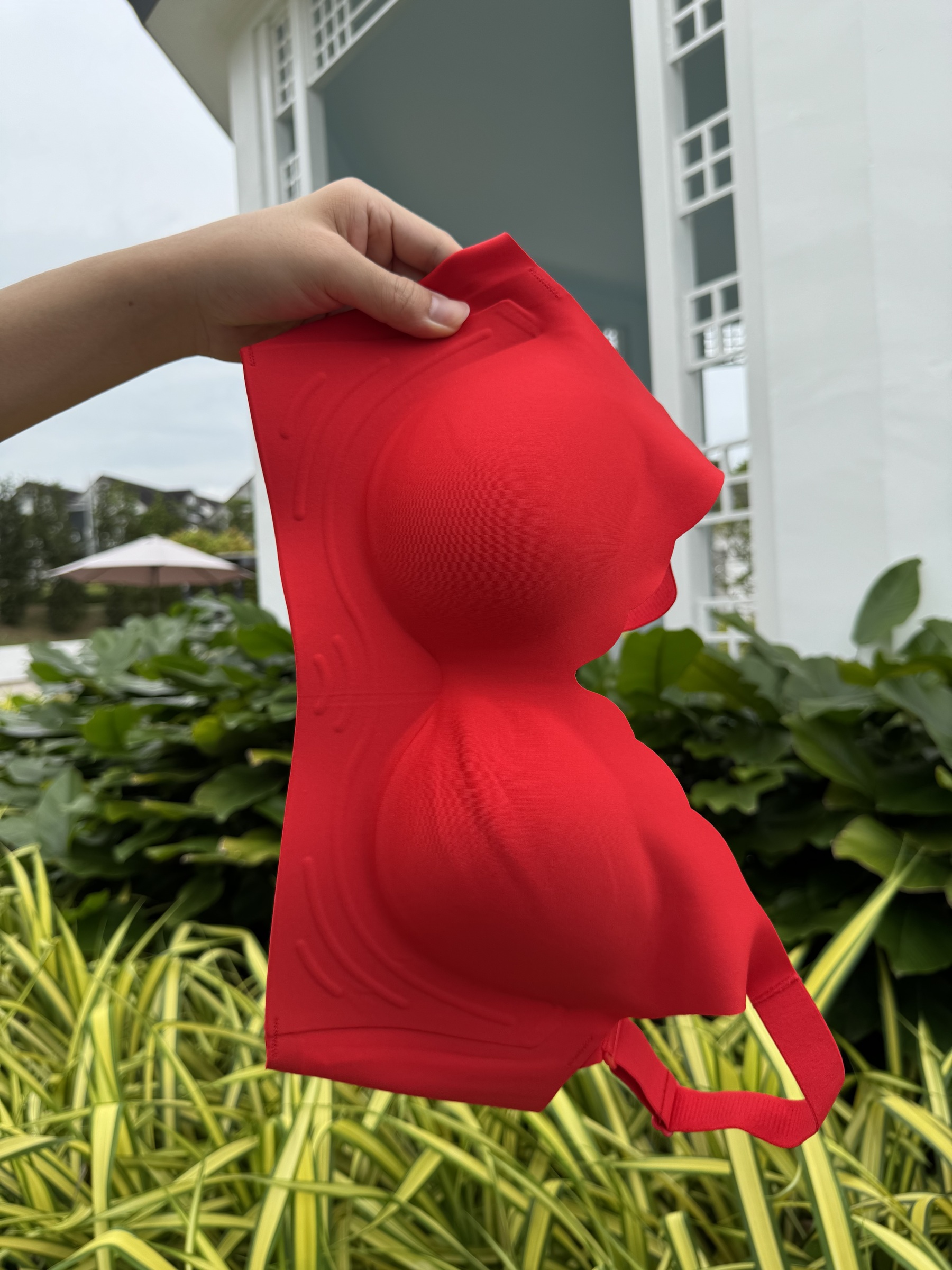 IMG_0340-1734100674388