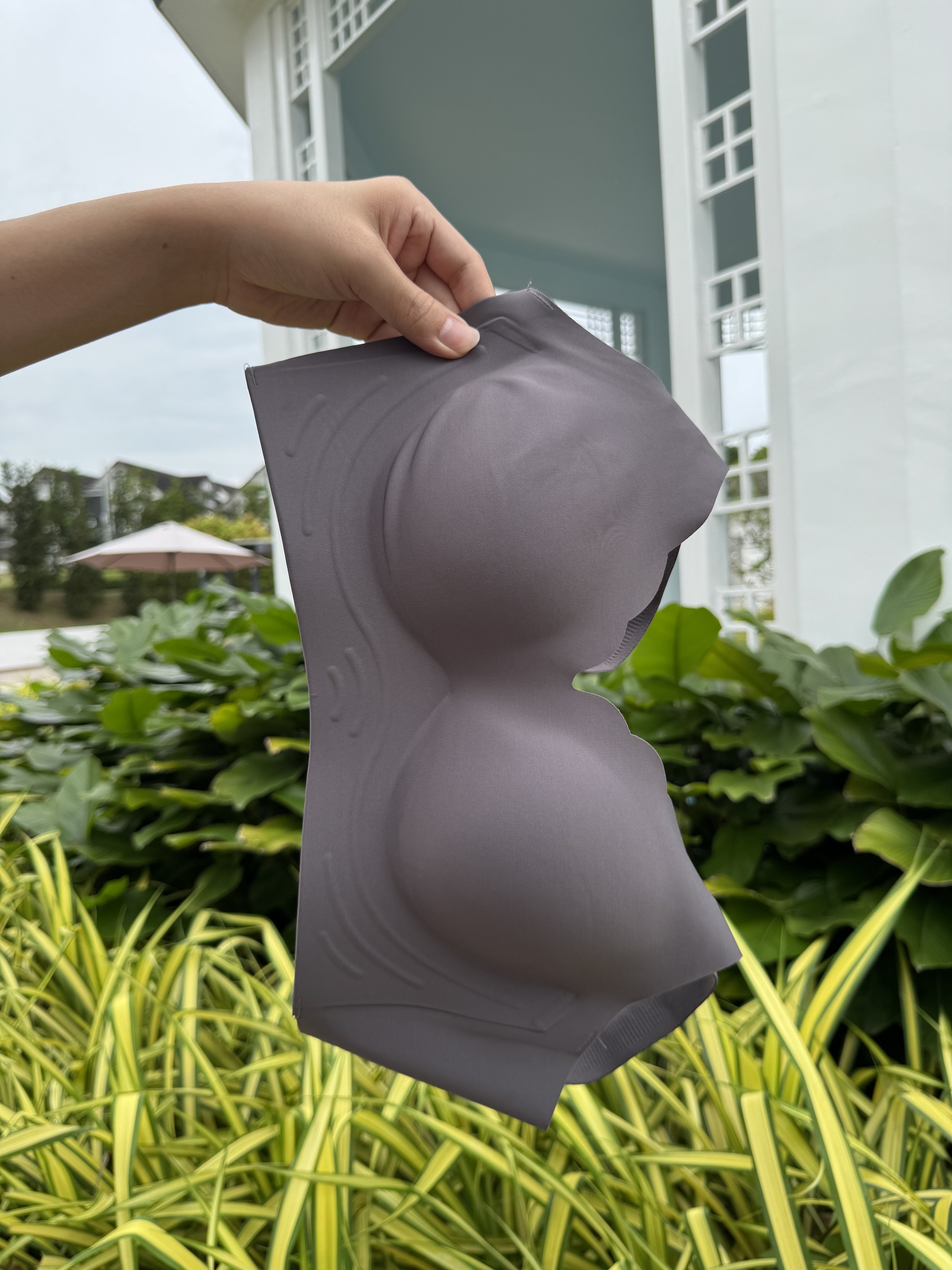 IMG_0338-1734100675102