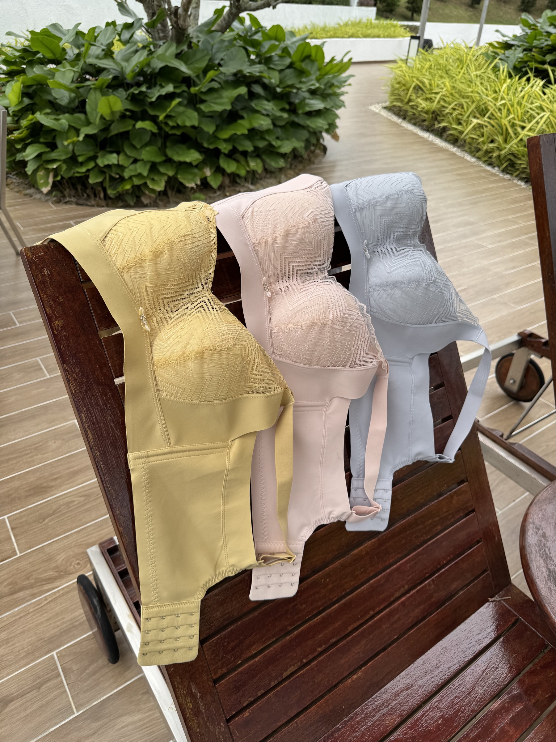 IMG_0352-1734101083780