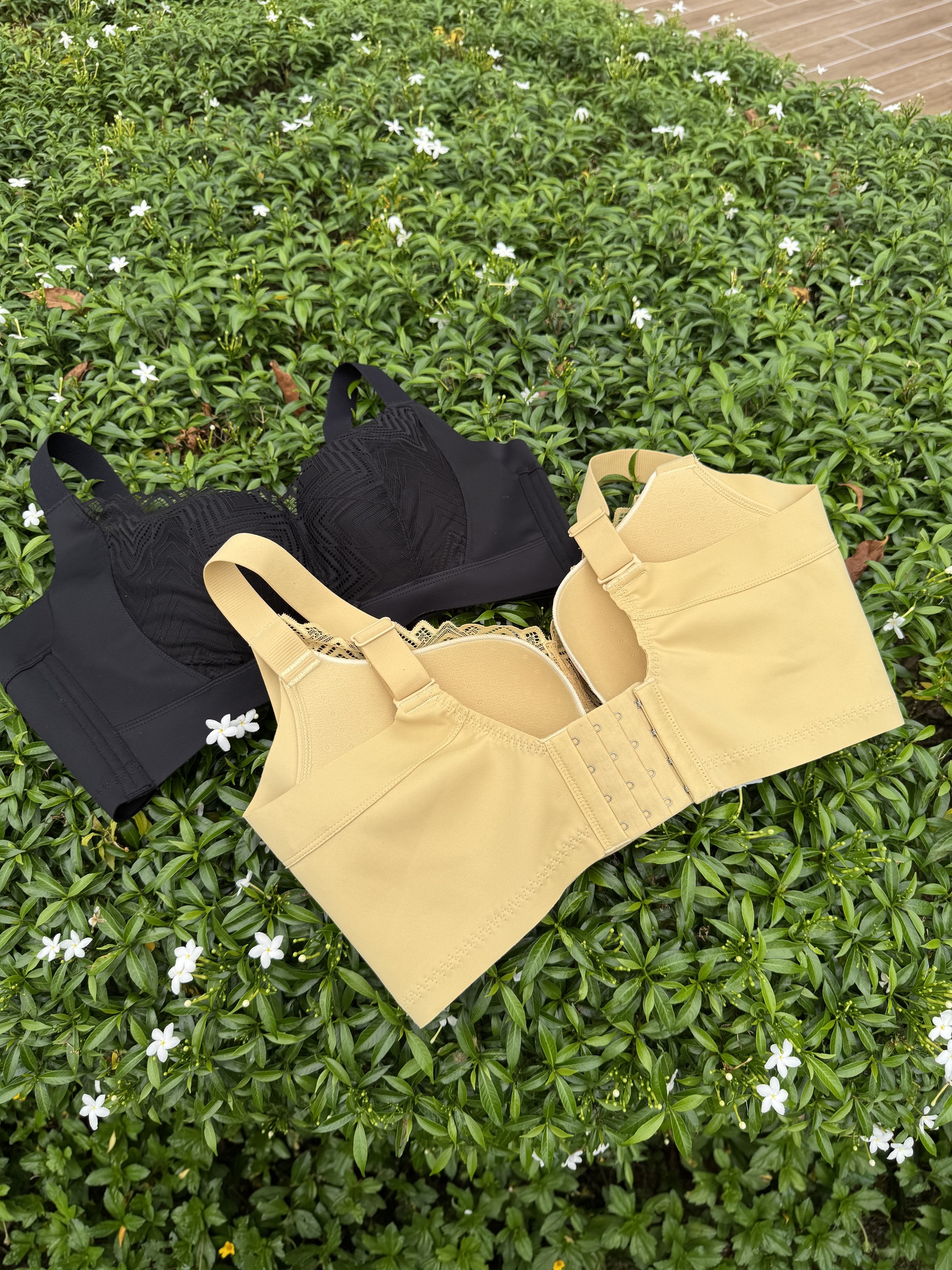 IMG_0388-1734101084658