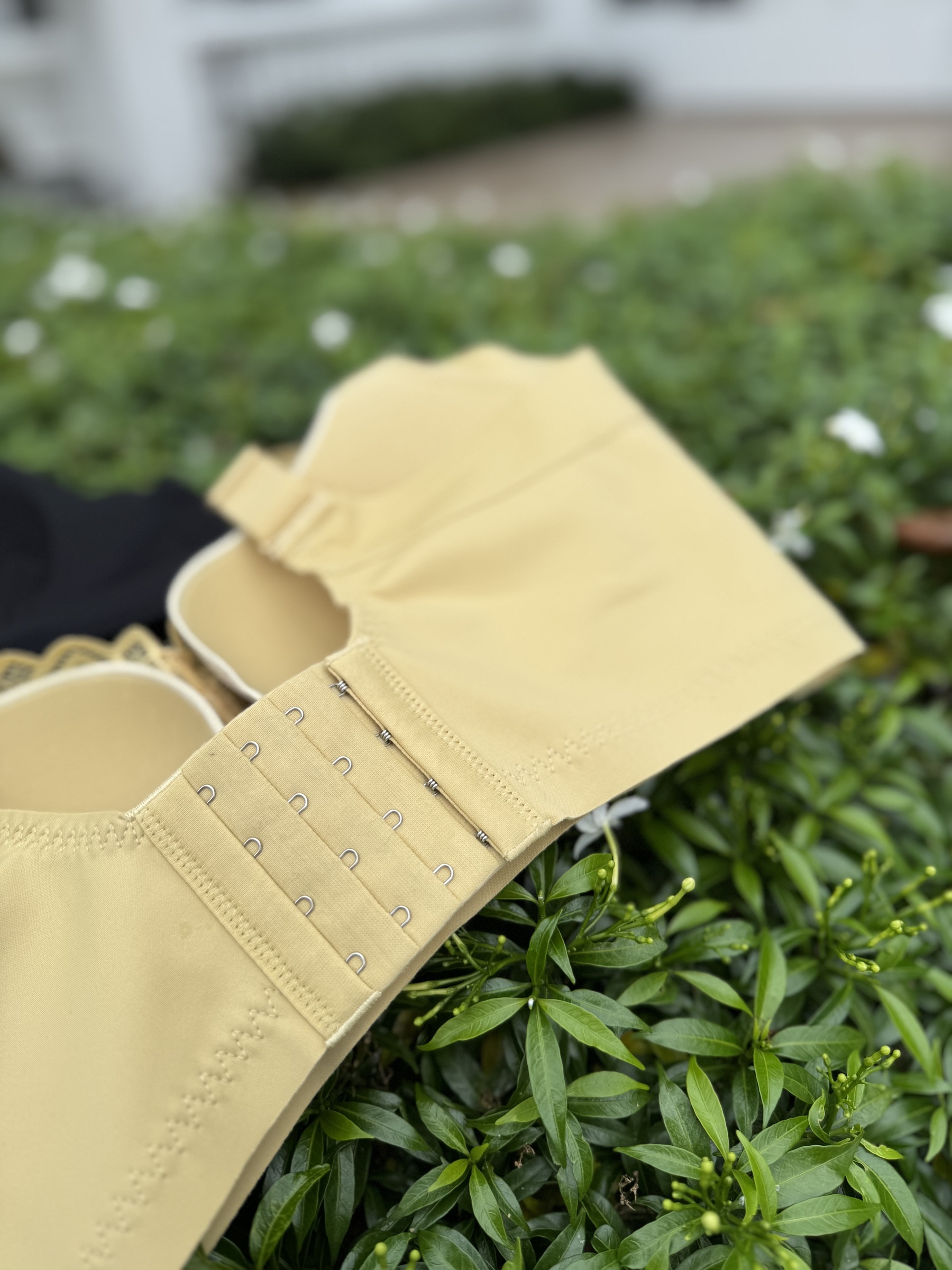 IMG_0389-1734101085045