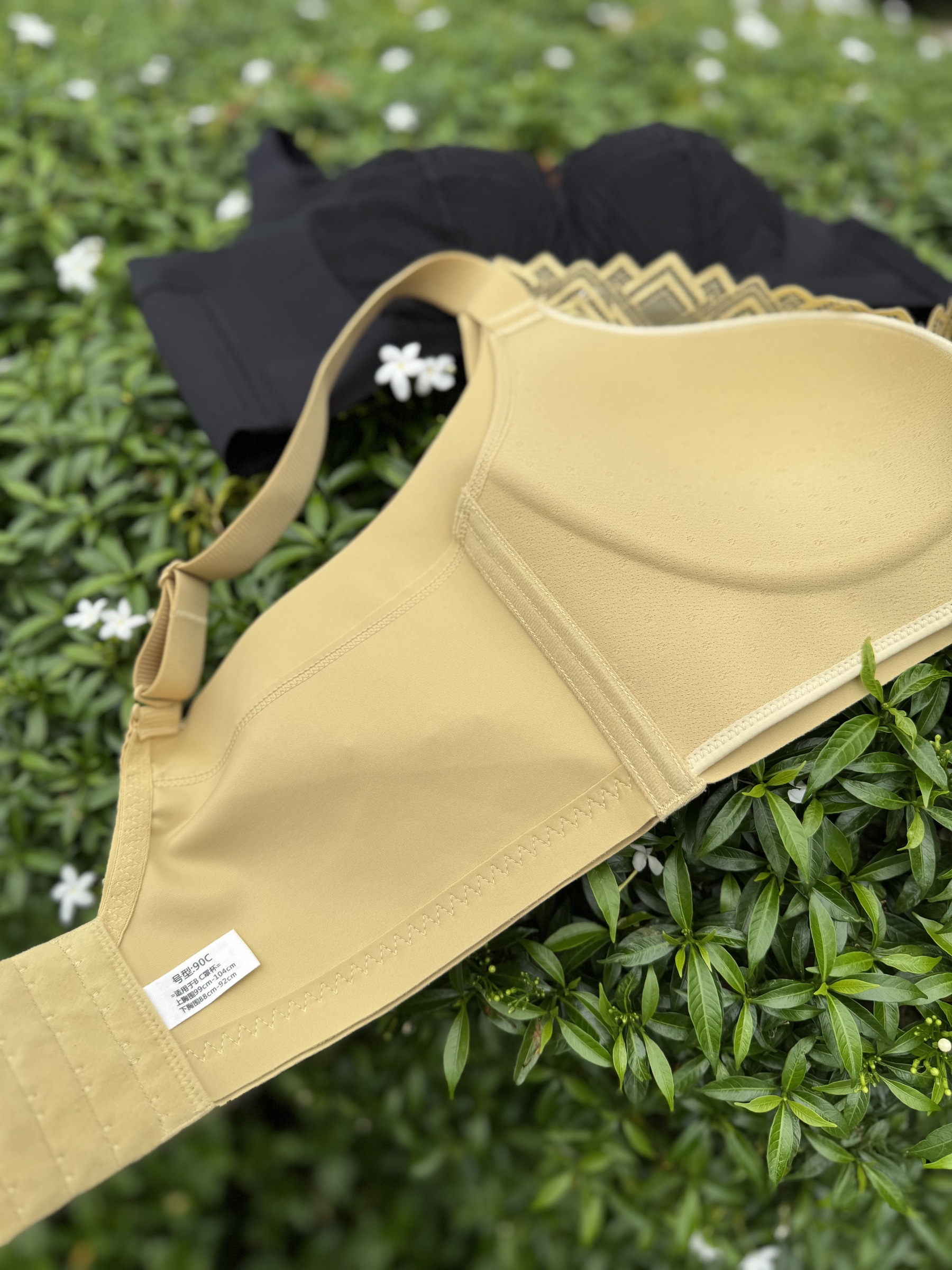 IMG_0390-1734101084919