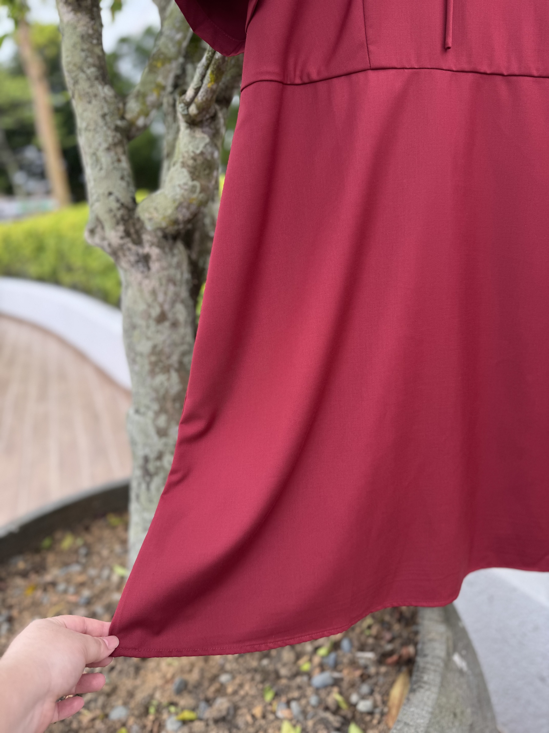 IMG_0240-1734332156986