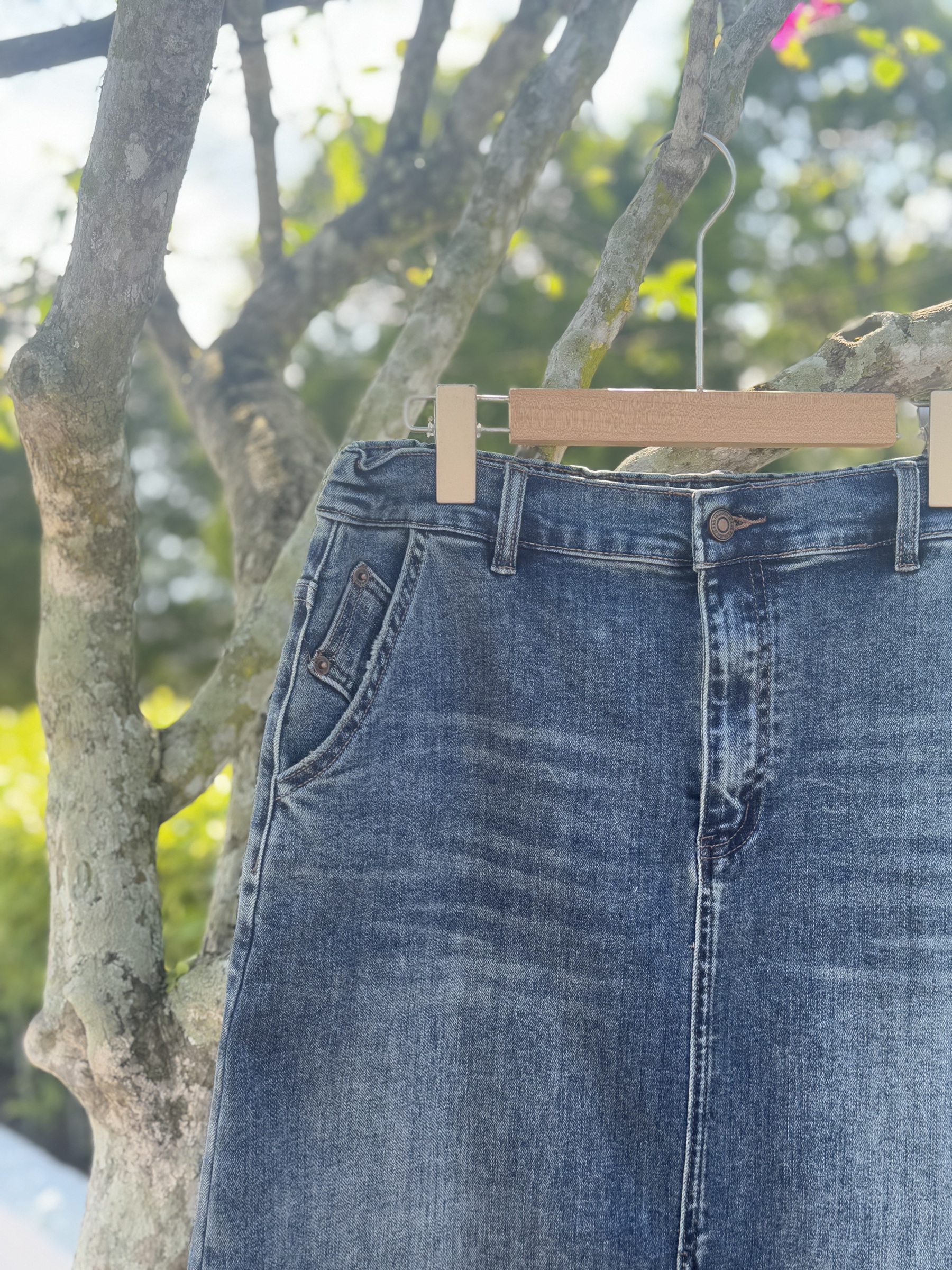 IMG_1341-1736409974844