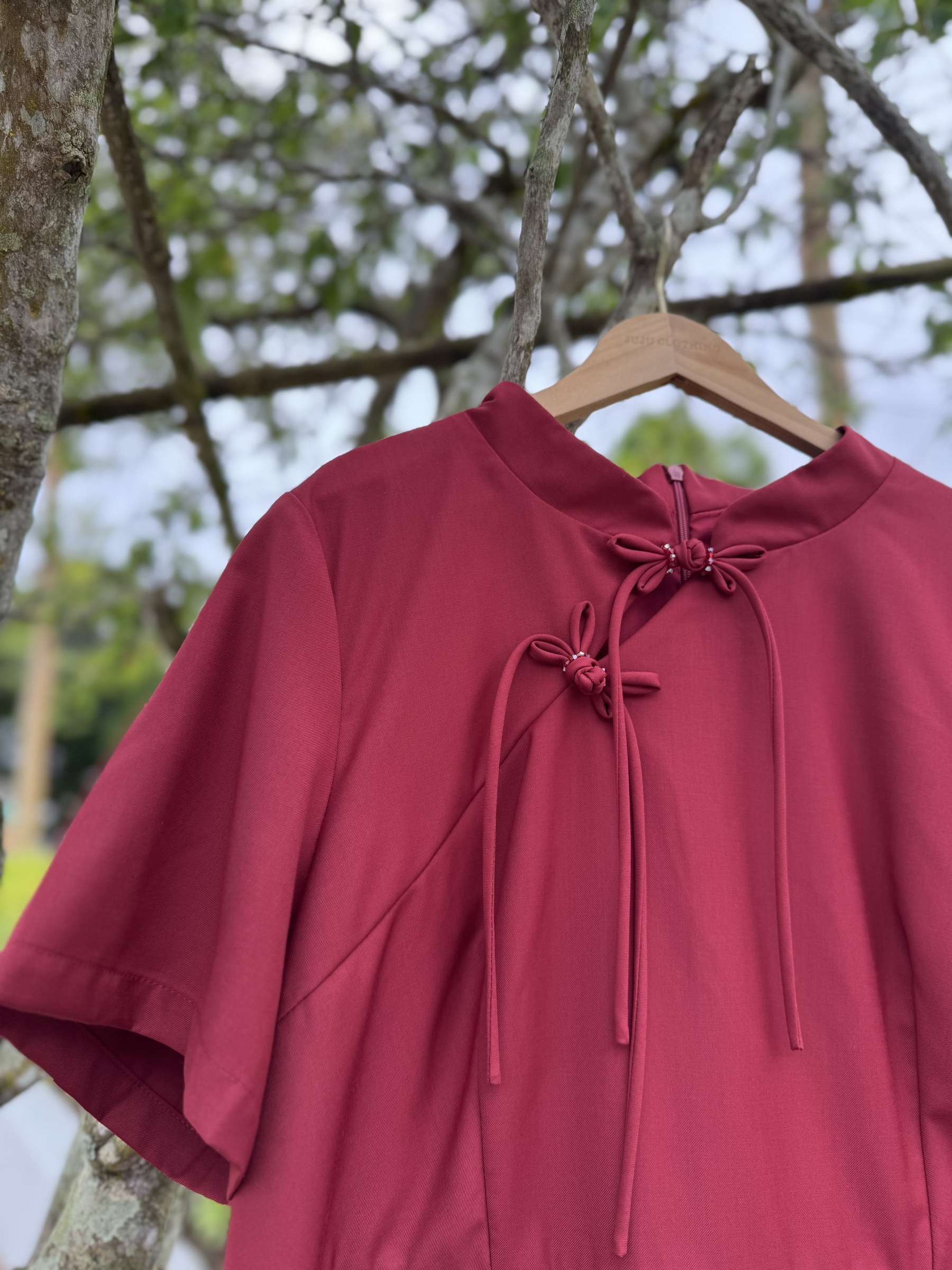 IMG_0238-1734332157327