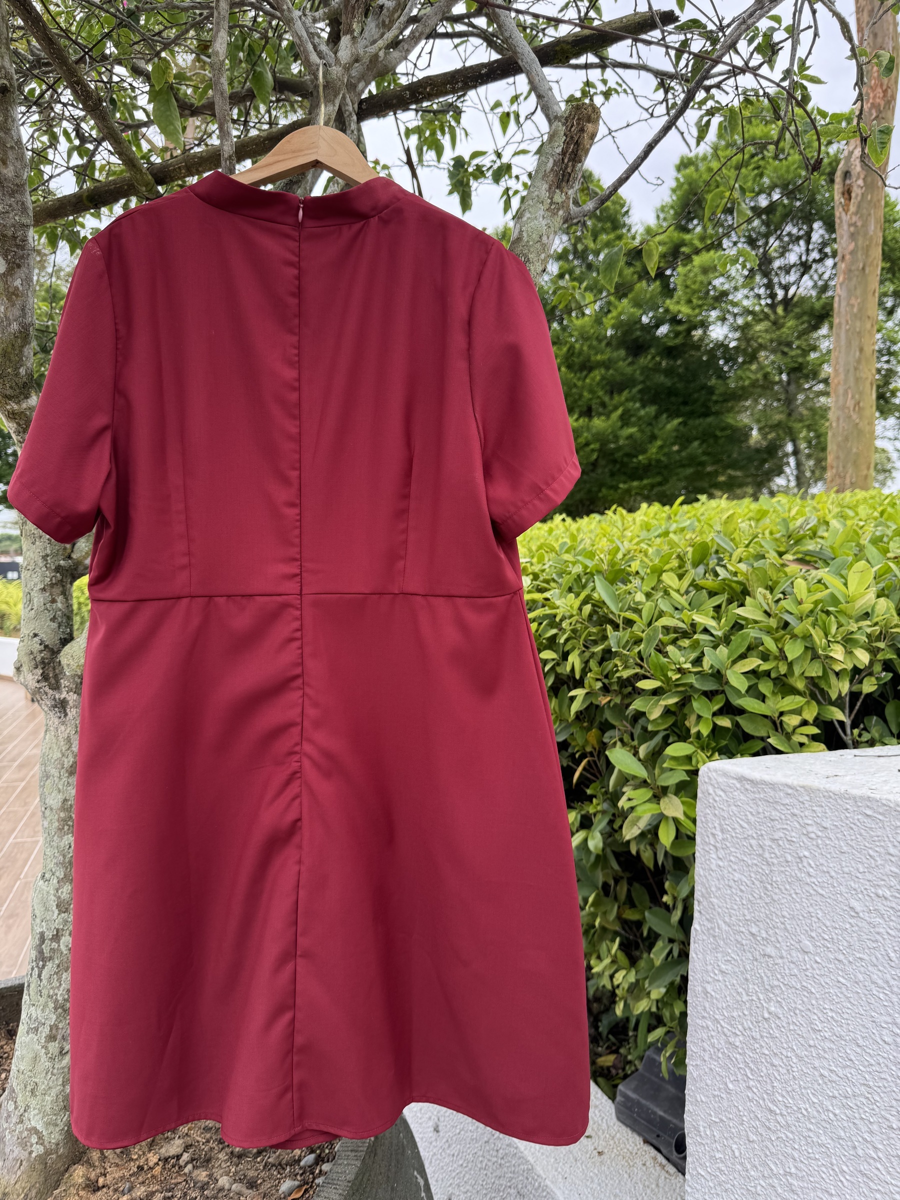 IMG_0241-1734332157156