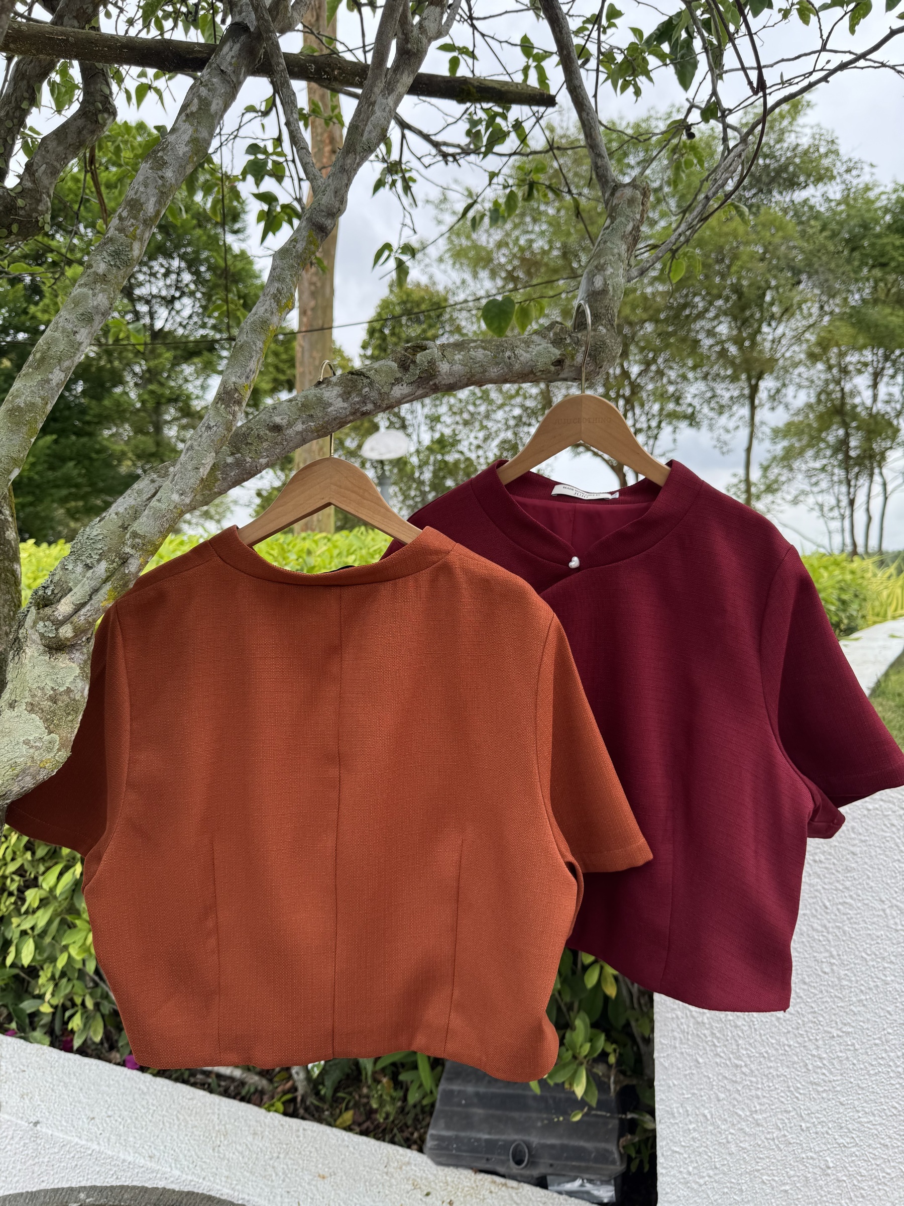 IMG_0210-1734332201808