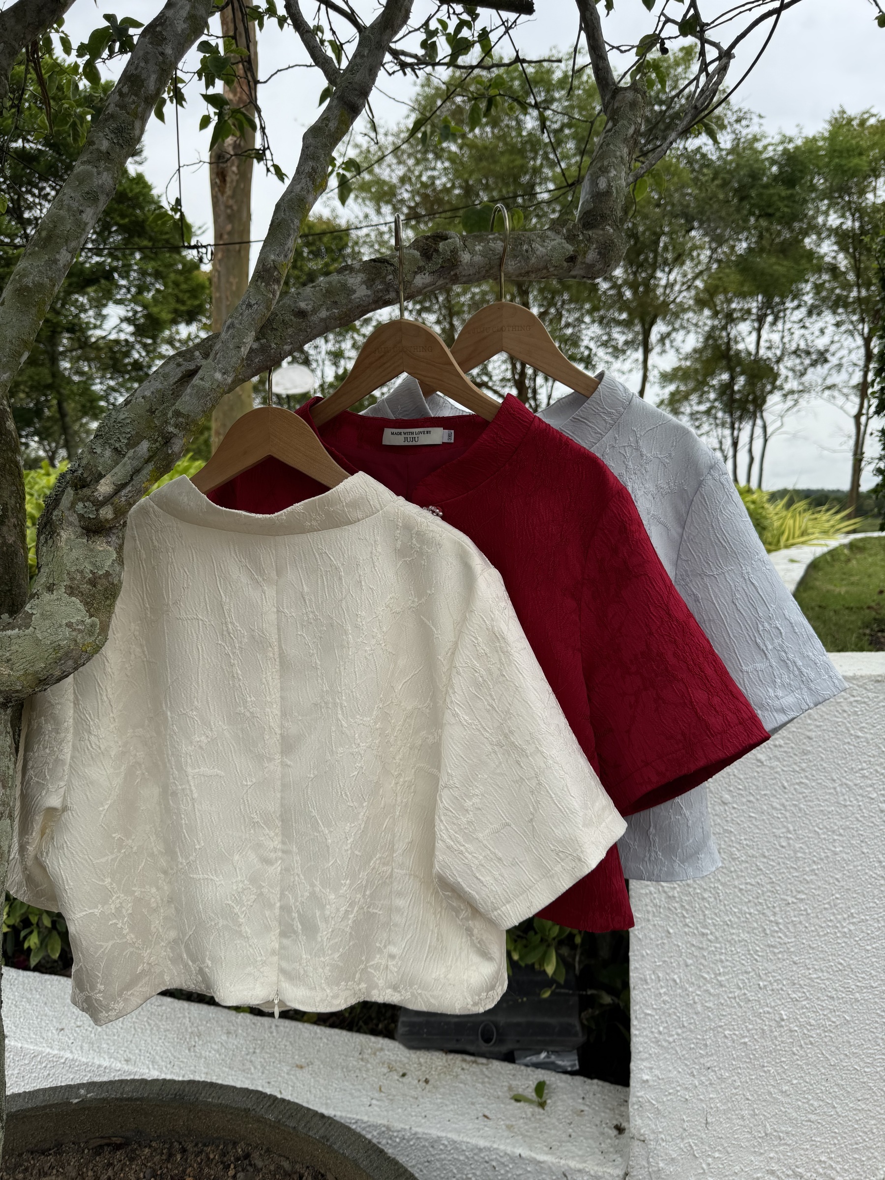 IMG_0197-1734332342204