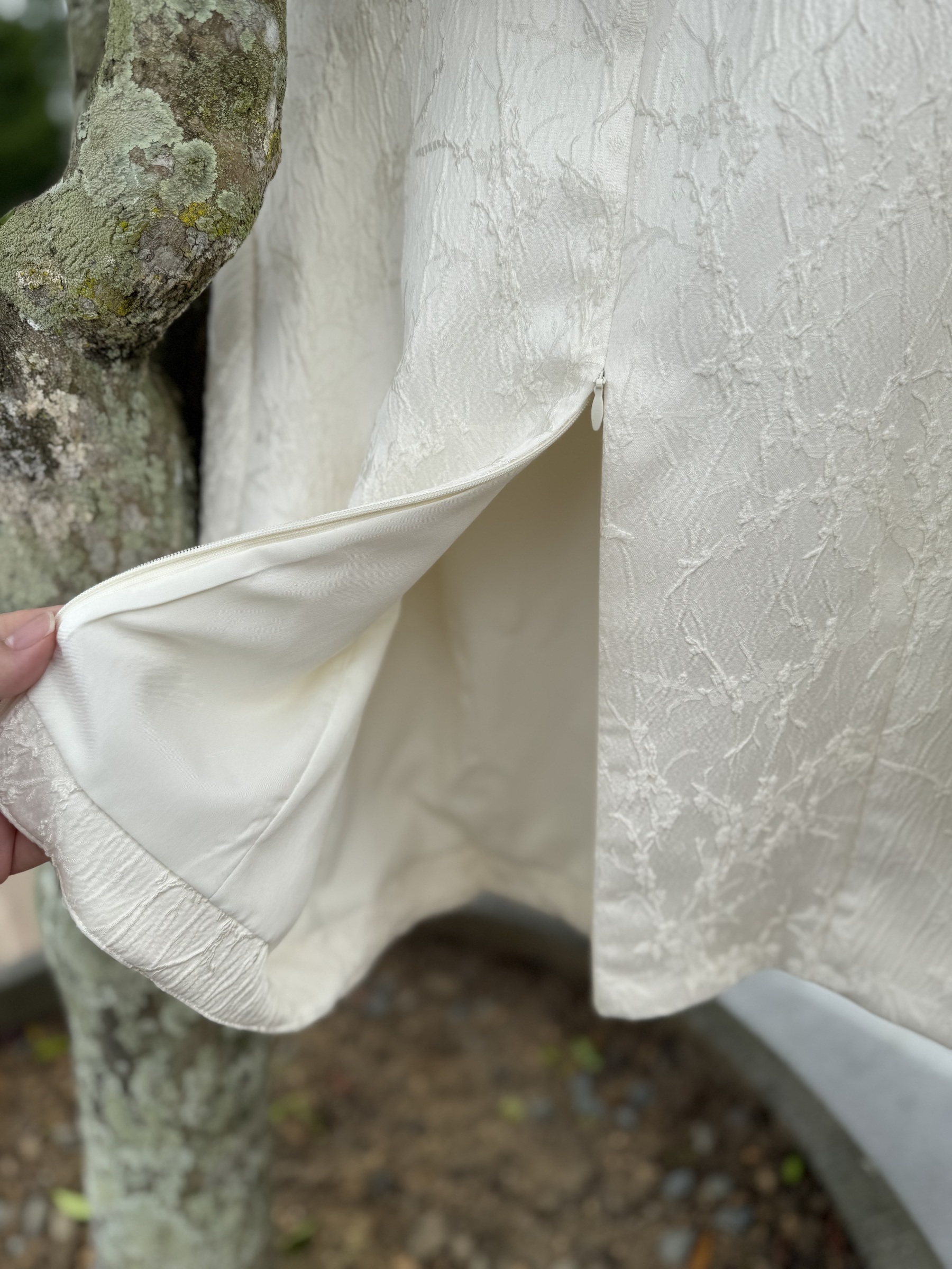 IMG_0198-1734332342412