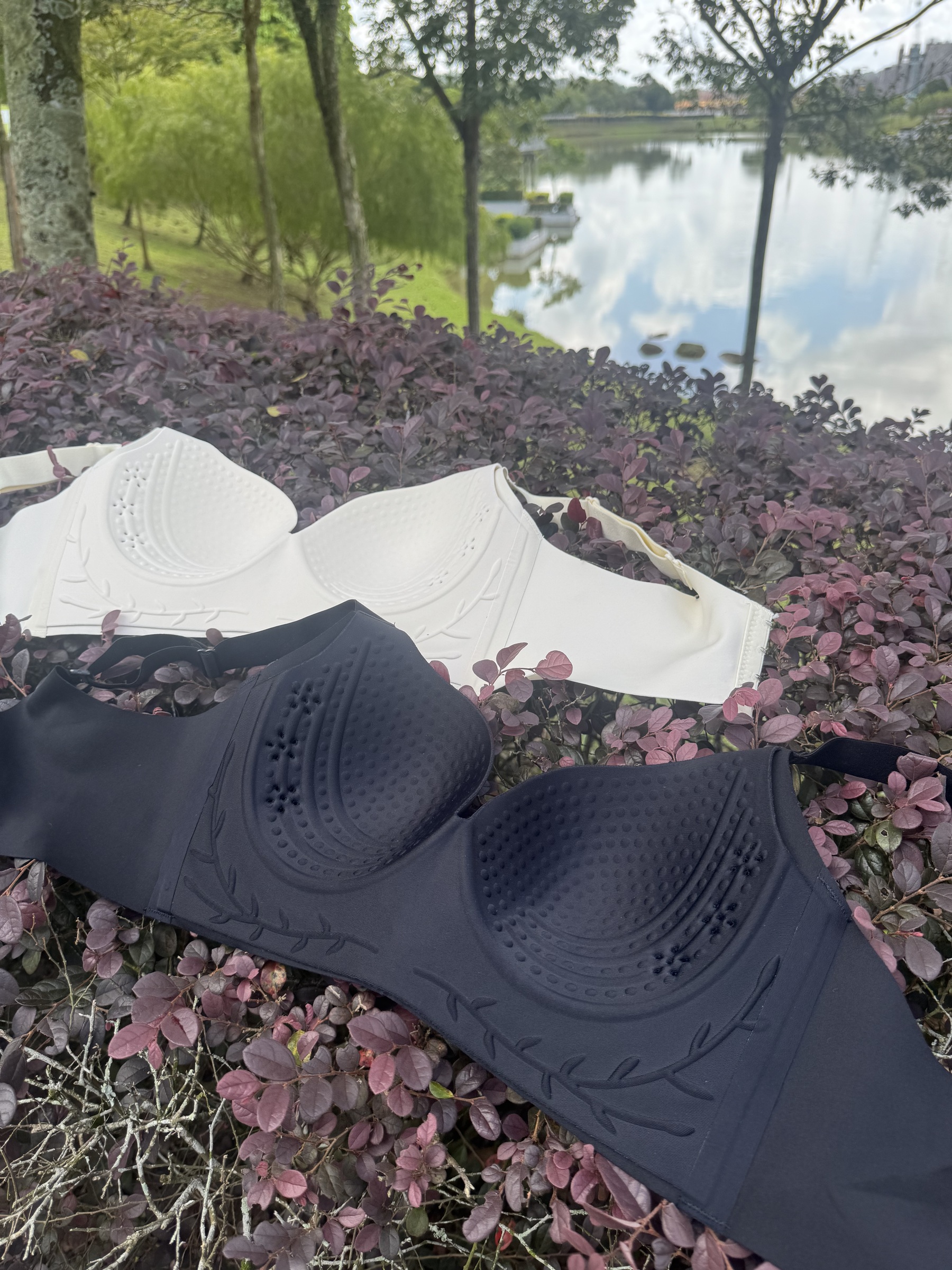 image_529D021E-8A36-4A42-9AA6-33DD8E96F43D_1760596215