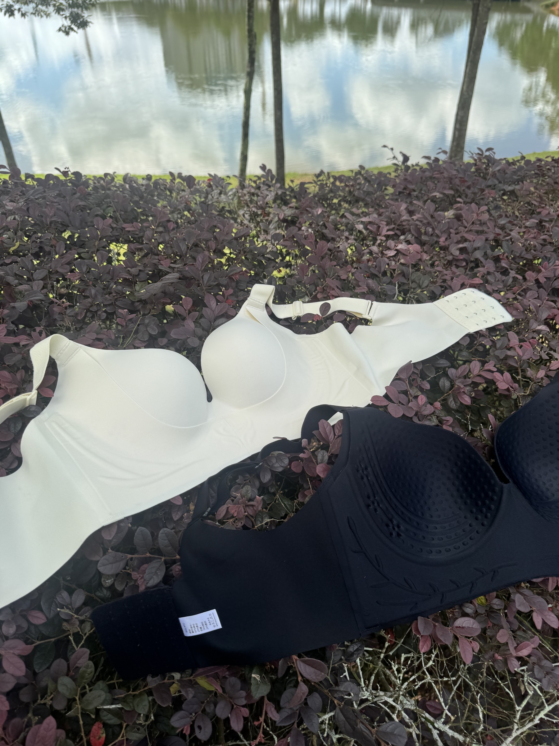 image_C6403228-AB6B-4B77-B5C3-6C2E1D55D02E_1760596215