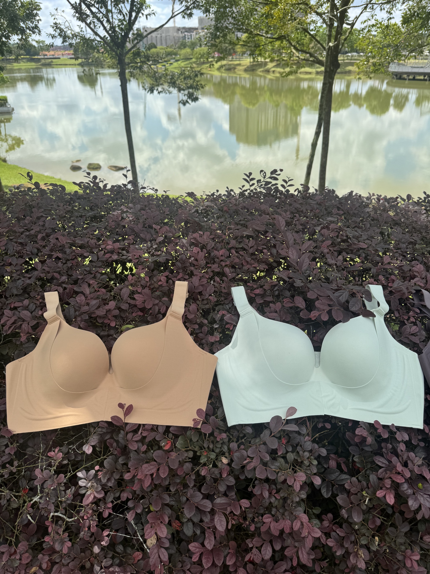 image_217A4C91-64EB-4508-89E4-9F861A8E4DE0_1760596215