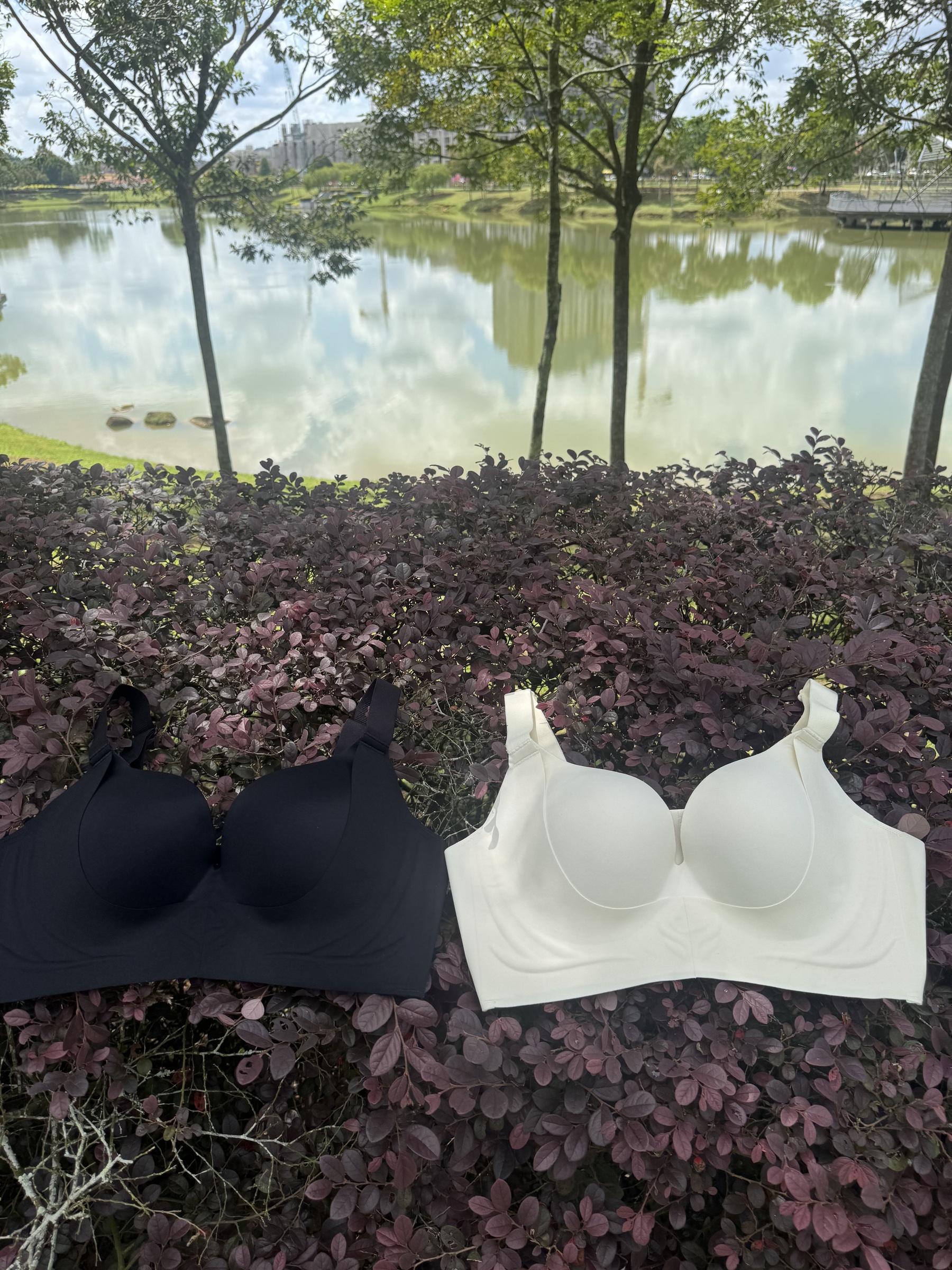 image_F98E502C-DFCF-4D7E-B58E-38601B5E6A10_1760596215