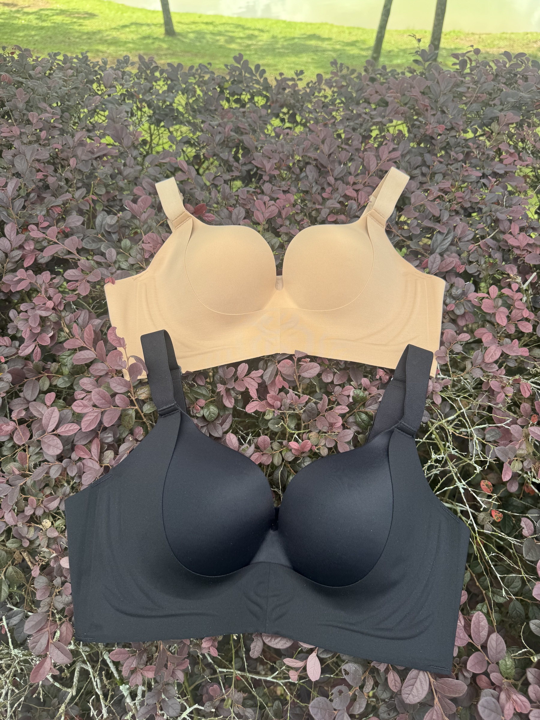 image_4B12A1DE-1F7E-4042-9EF7-477F30F3AFD9_1760596216