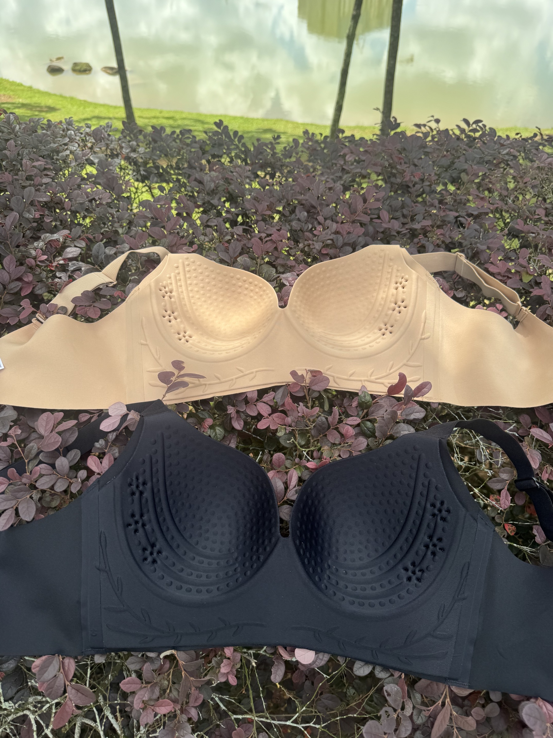 image_CEFD2DE5-8DD1-4958-A5EC-073CB84BB21F_1760596216