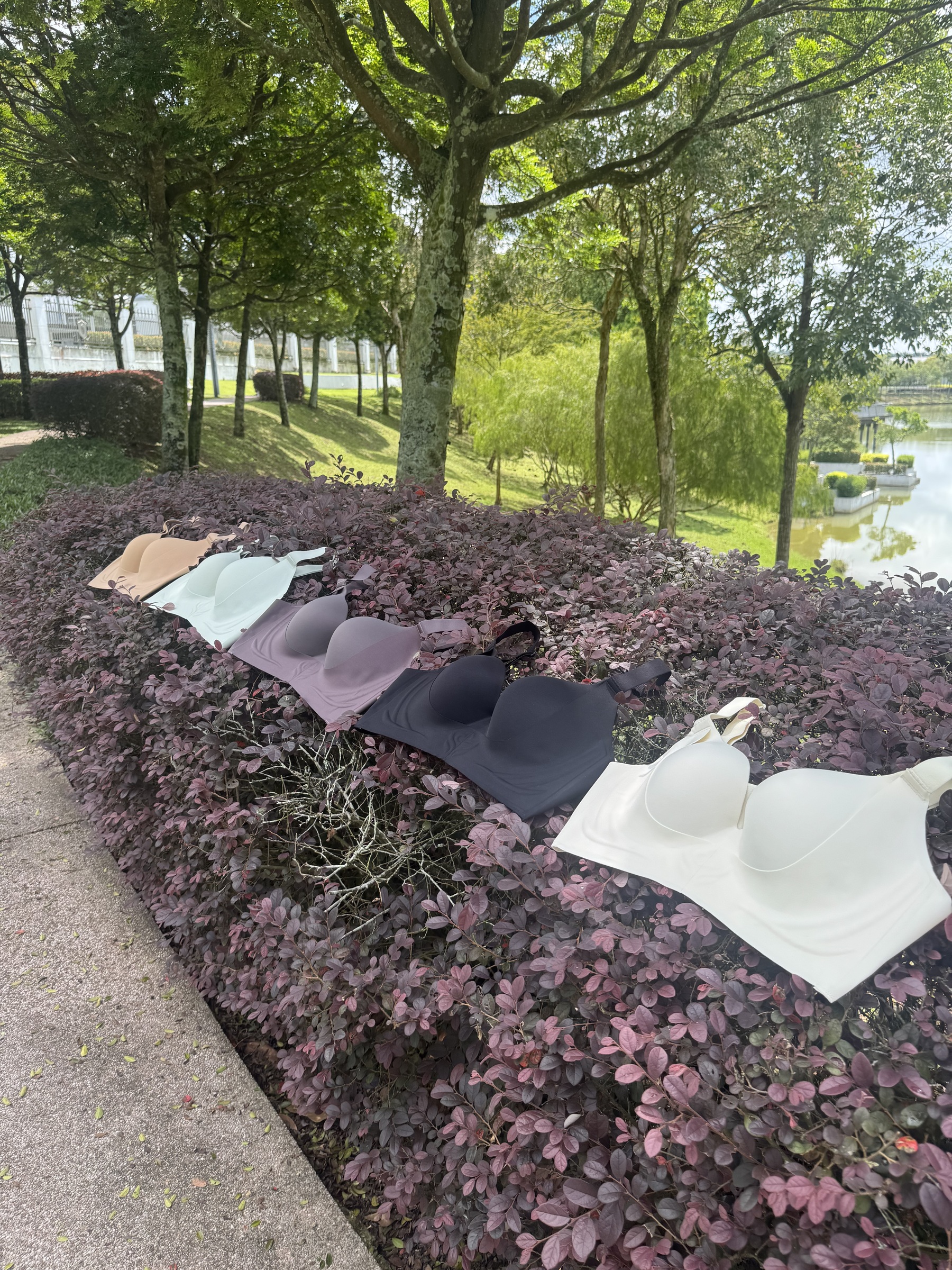 image_B66F8FC5-3787-403F-A2AF-7FAA5B927A6C_1760596537