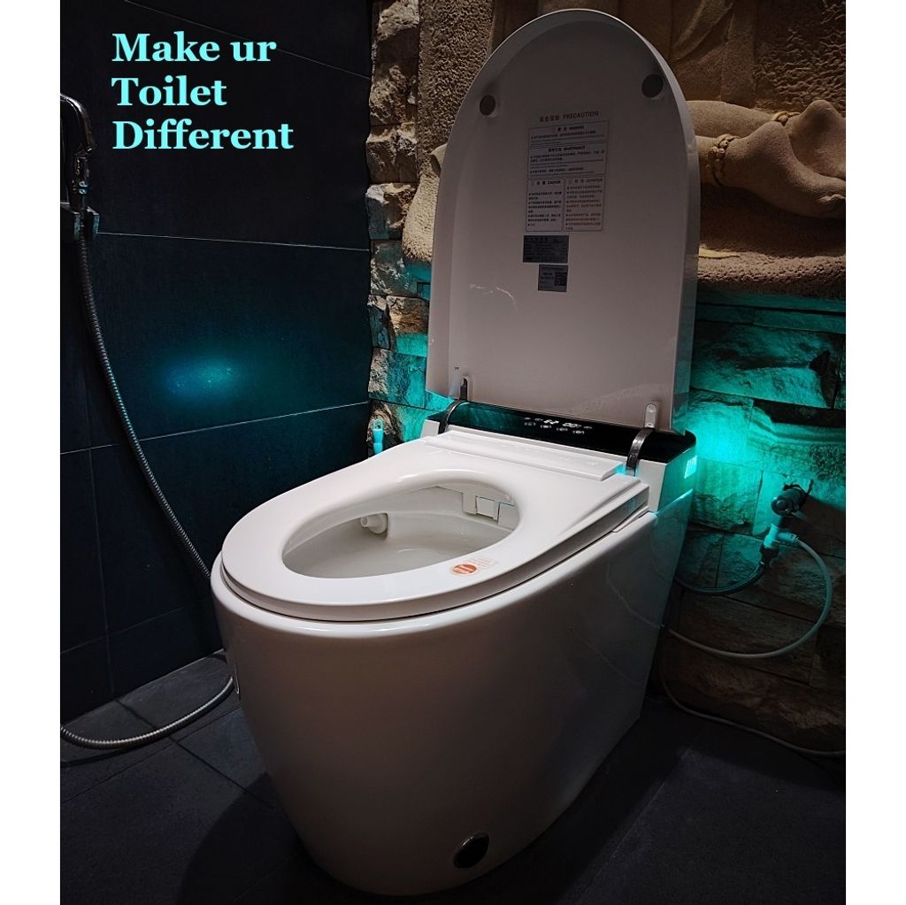 toilet bowl26 (4)