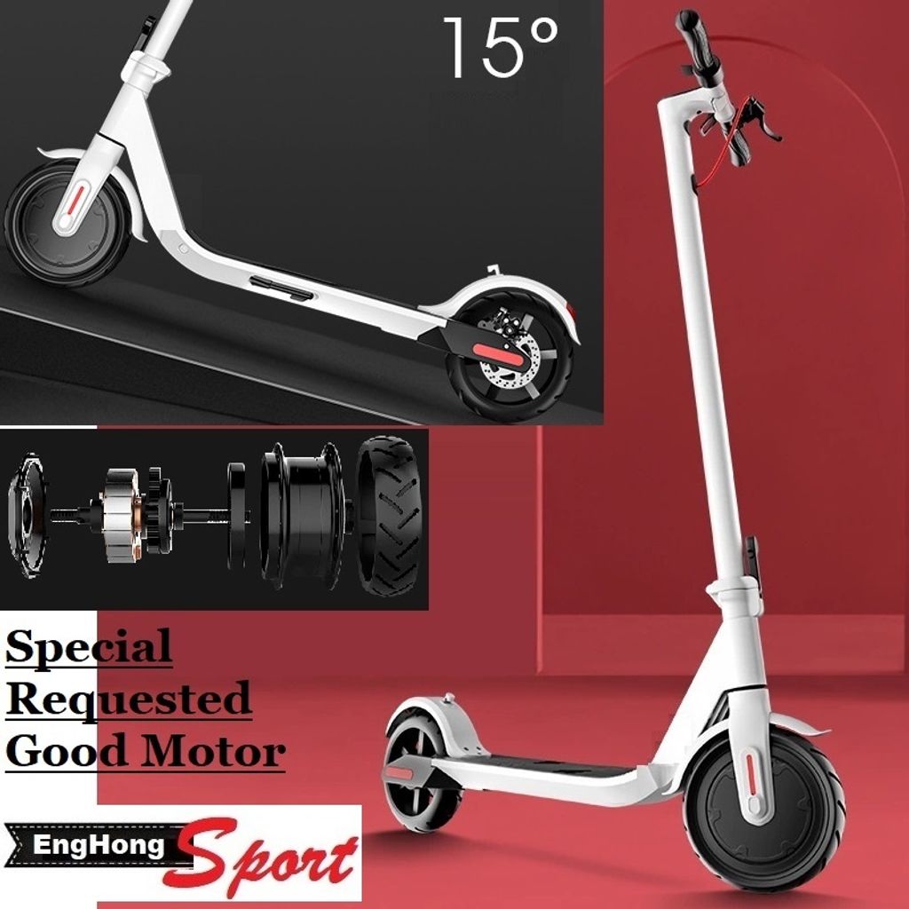Standing Scooter (2).jpg