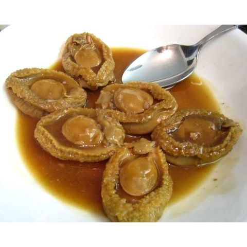 ABALONE2.jpg