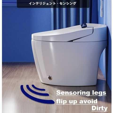 auto toilet bowl A (1).jpg