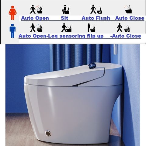 auto toilet bowl A (2).jpg