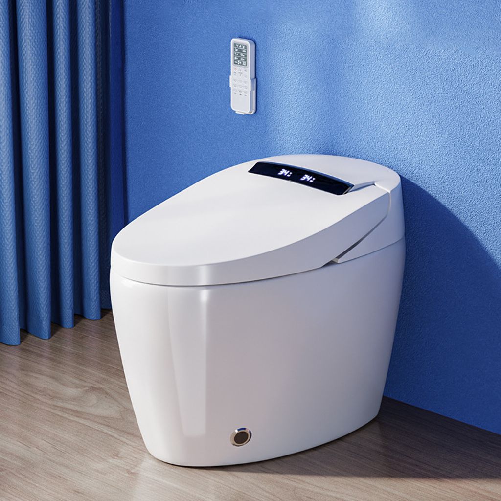 auto toilet bowl A (6).jpg