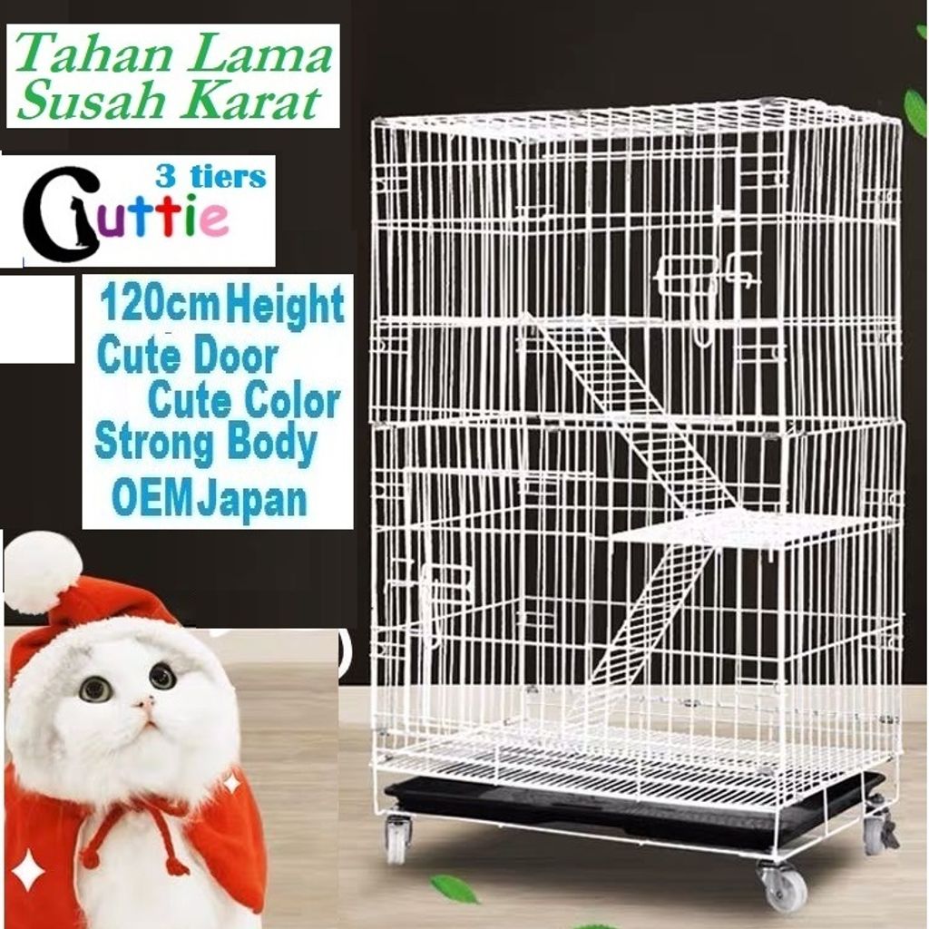 CAT WHITE - Copy.jpg