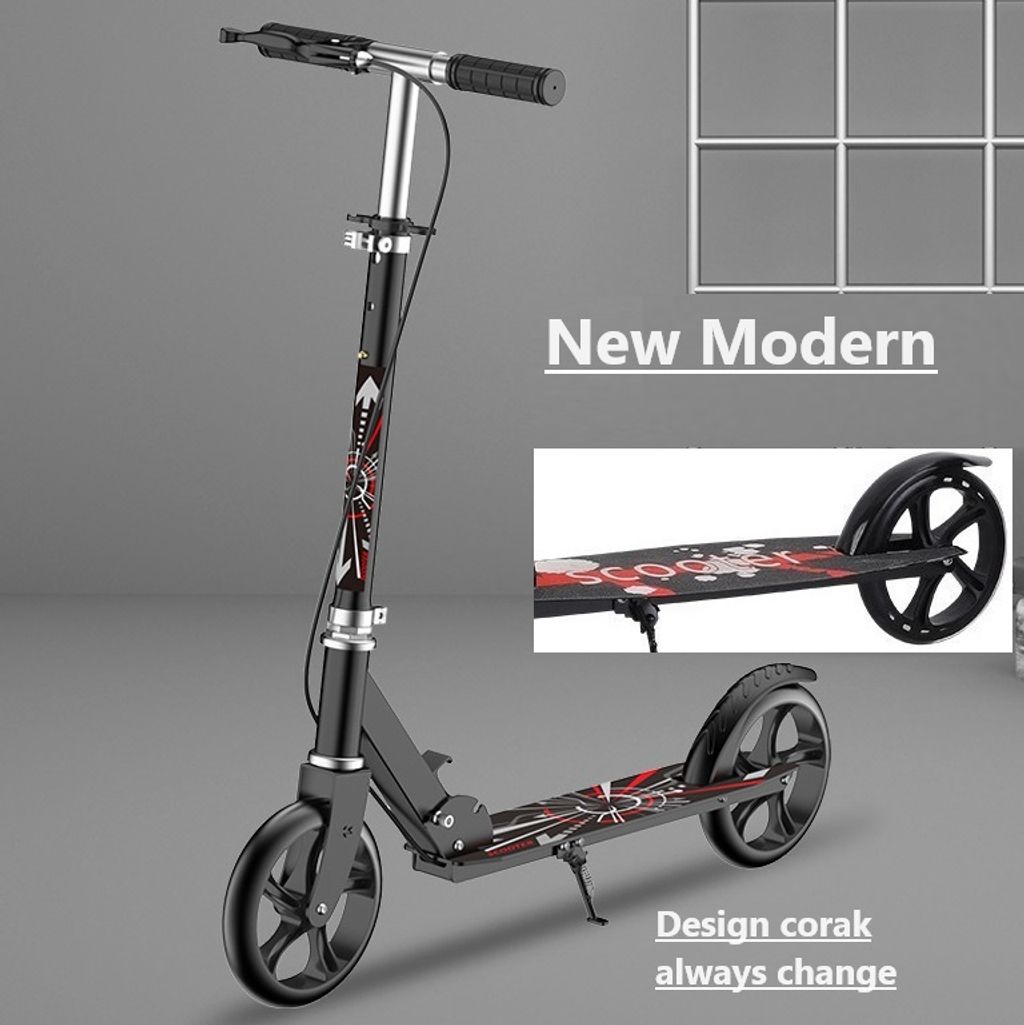 Roller Scooter (9)