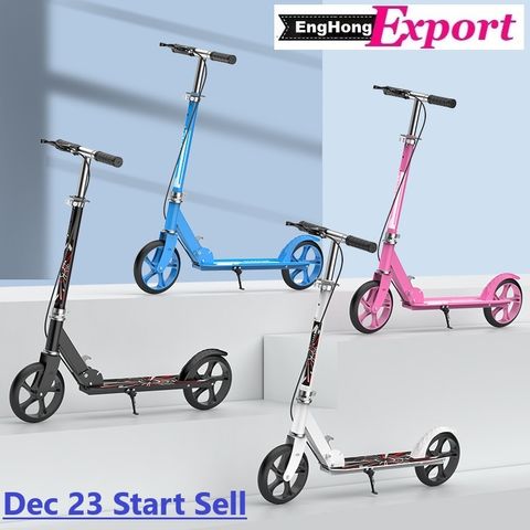 Roller Scooter (8)