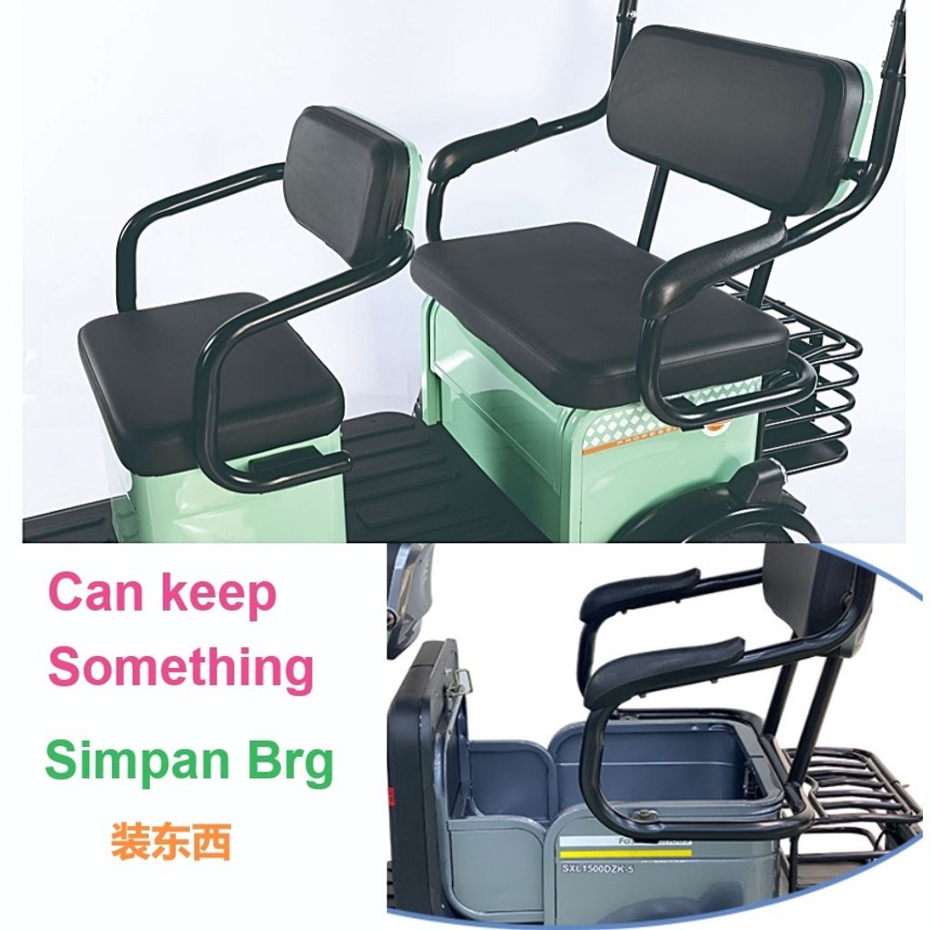 Largest Tribike (7)