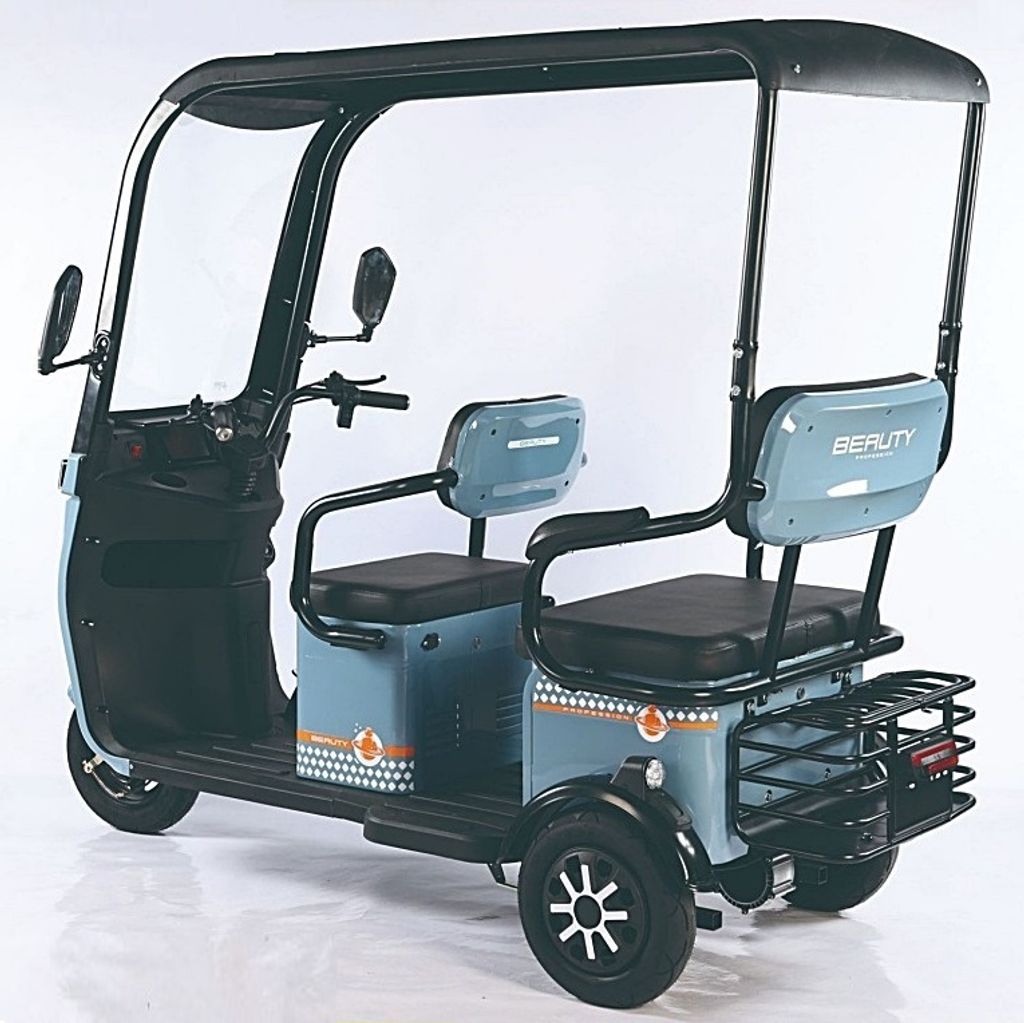 Largest Tribike (8)