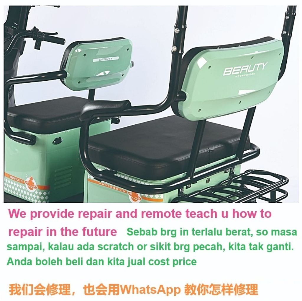 Largest Tribike (1)