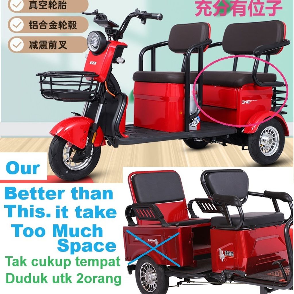 Largest Tribike (6)