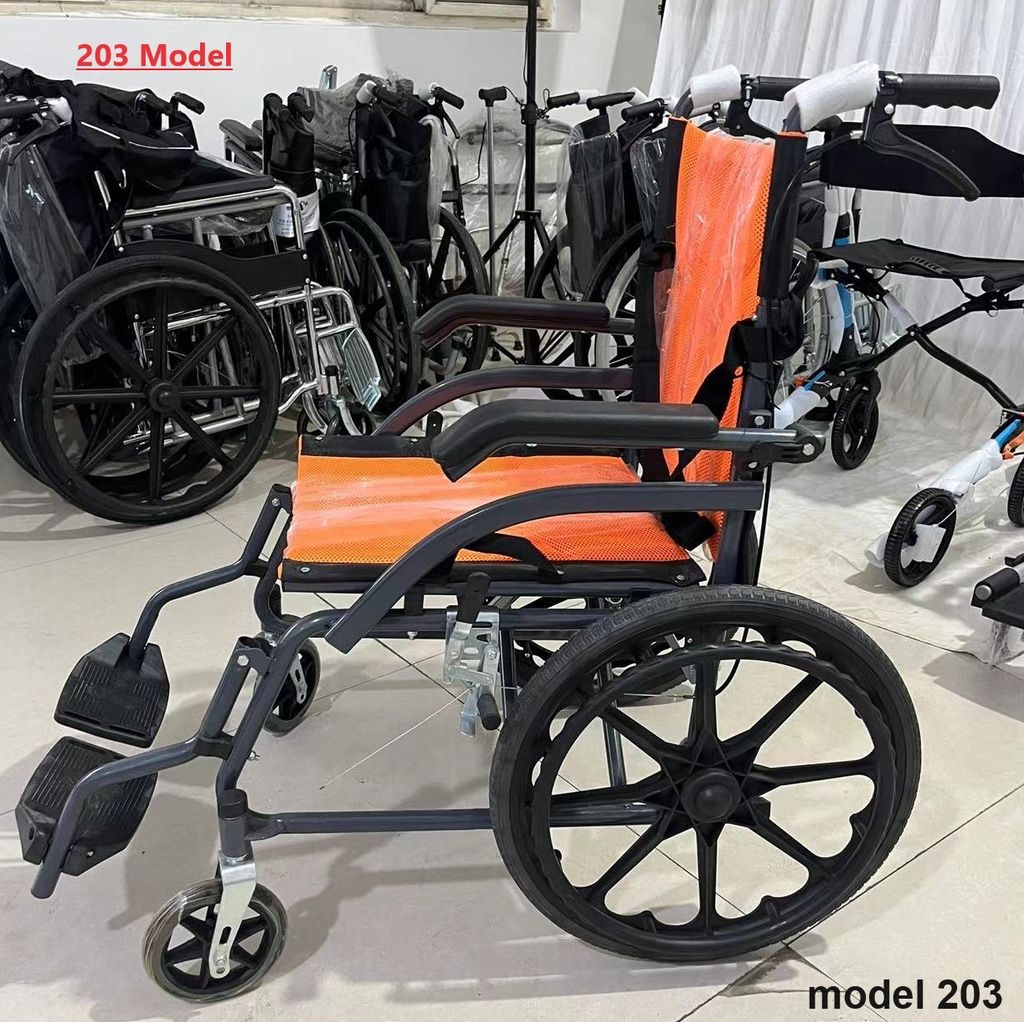 203 (1)
