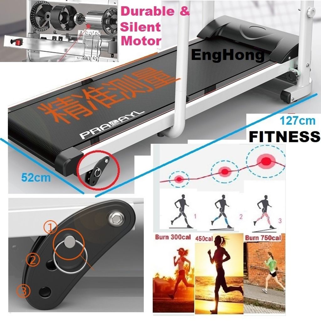 Elder treadmill (2)