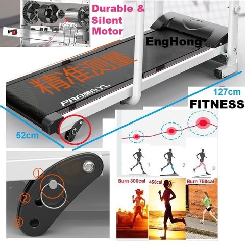 Elder treadmill (2)