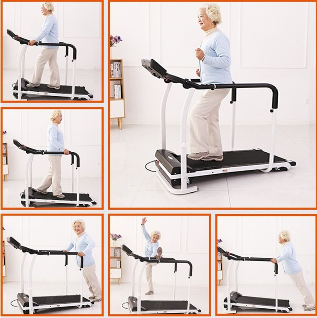 Elder treadmill (5)