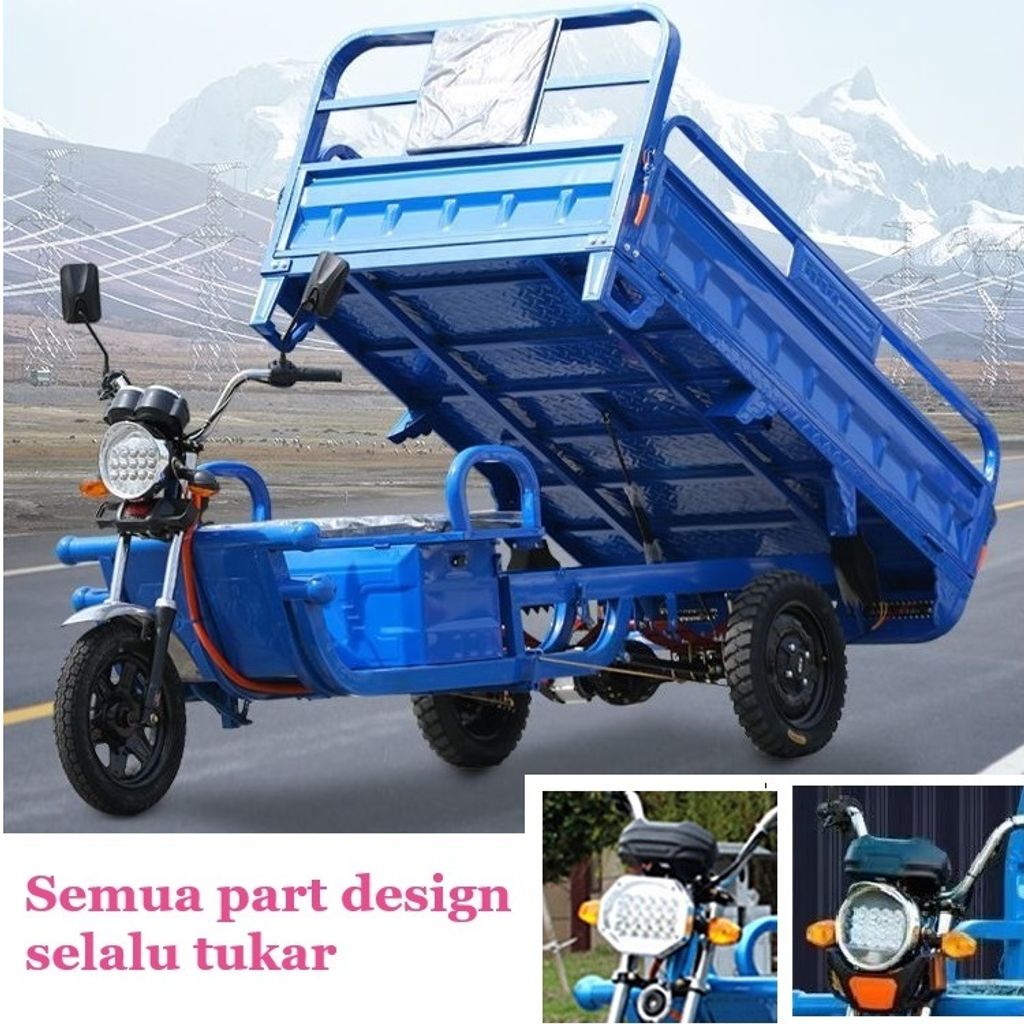 treller lorry tribike (7)
