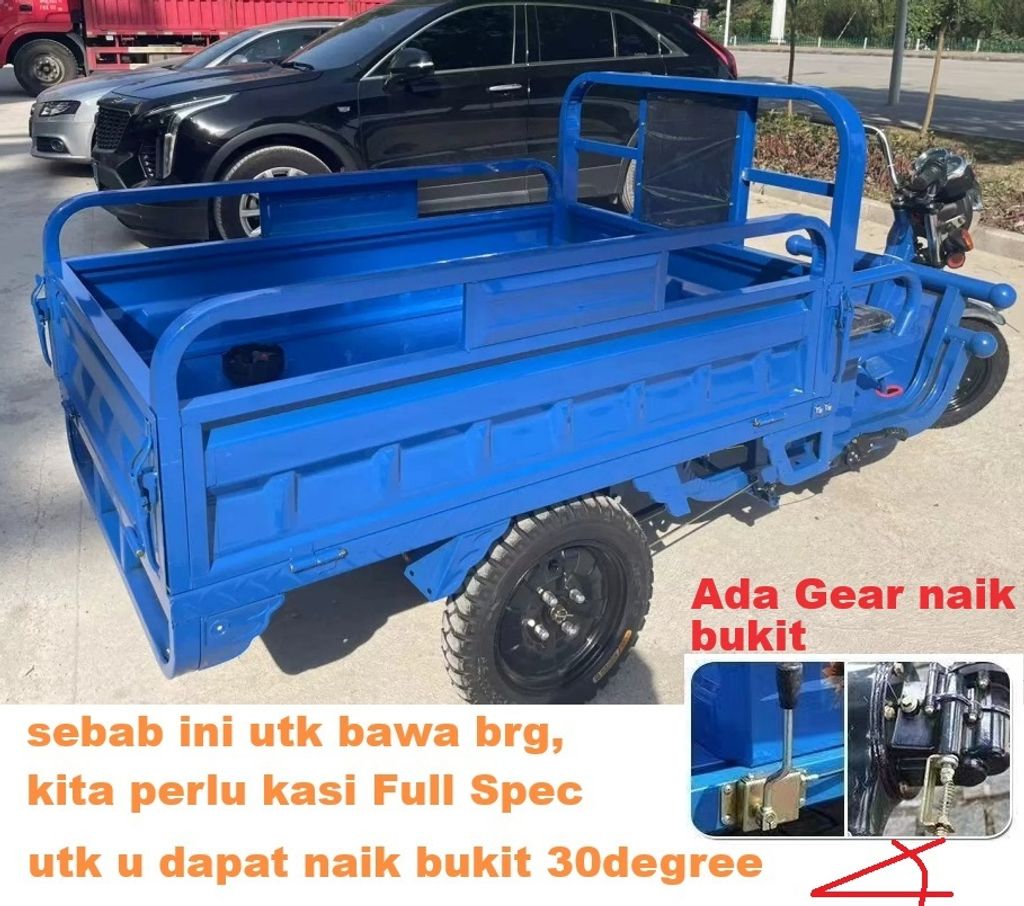 treller lorry tribike (4)