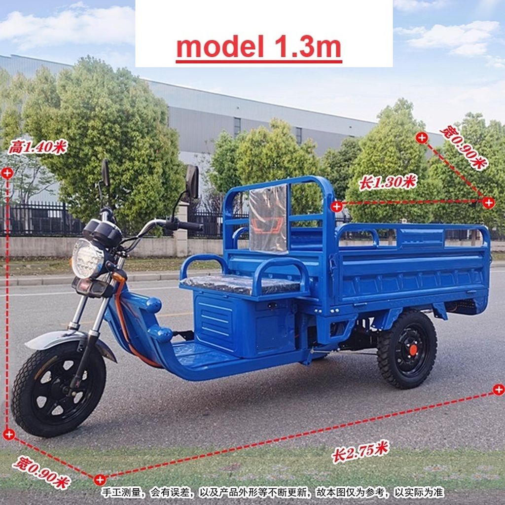 treller lorry tribike (8)