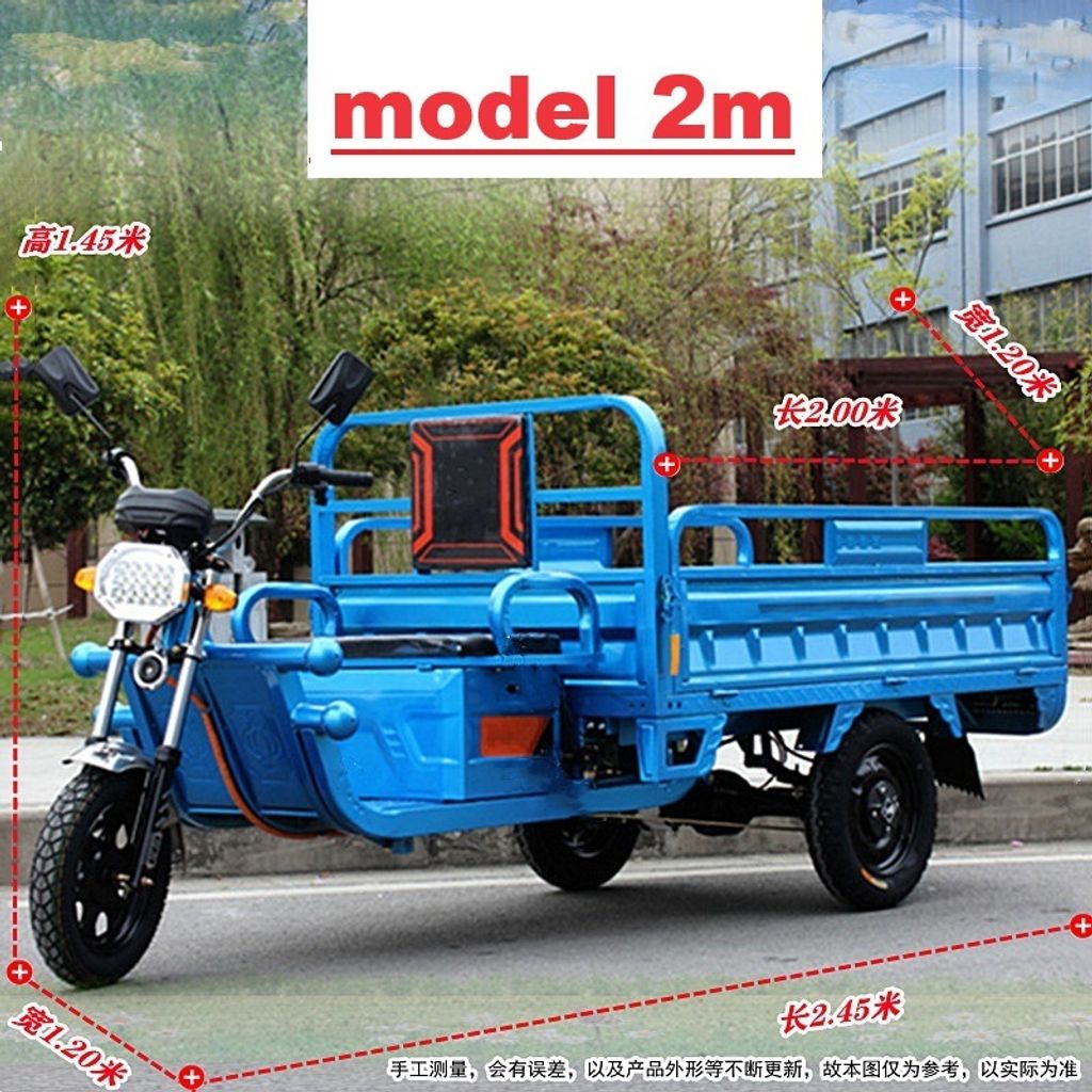 treller lorry tribike (10)