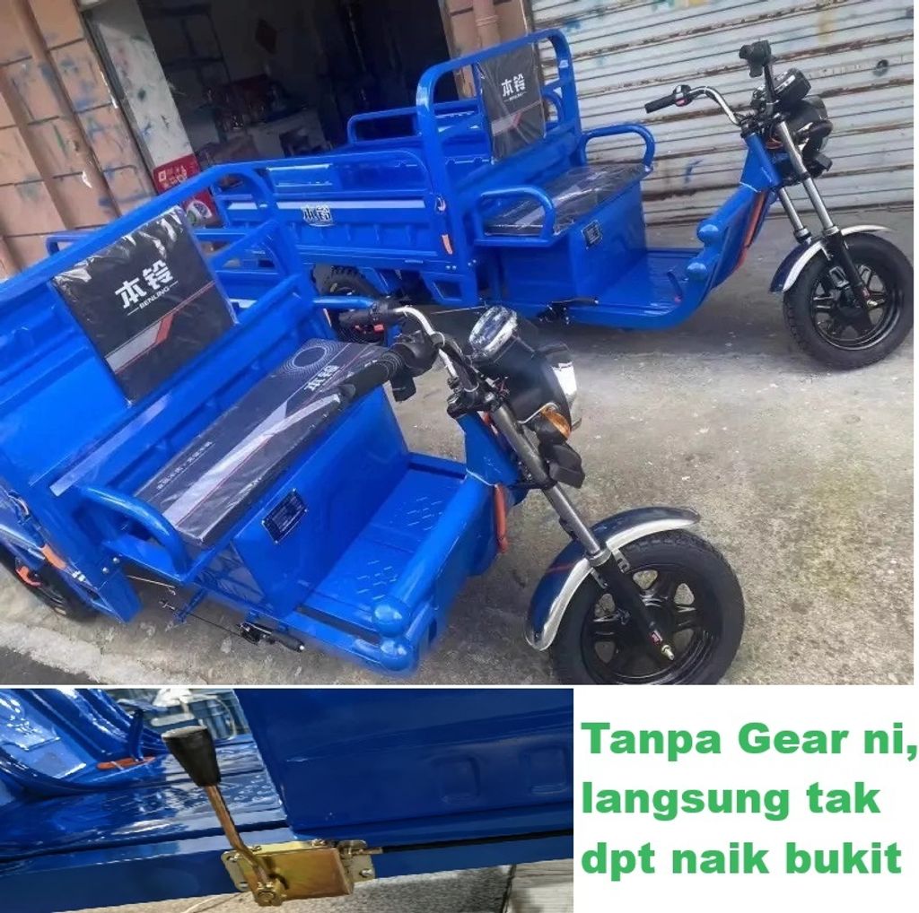 treller lorry tribike (6)