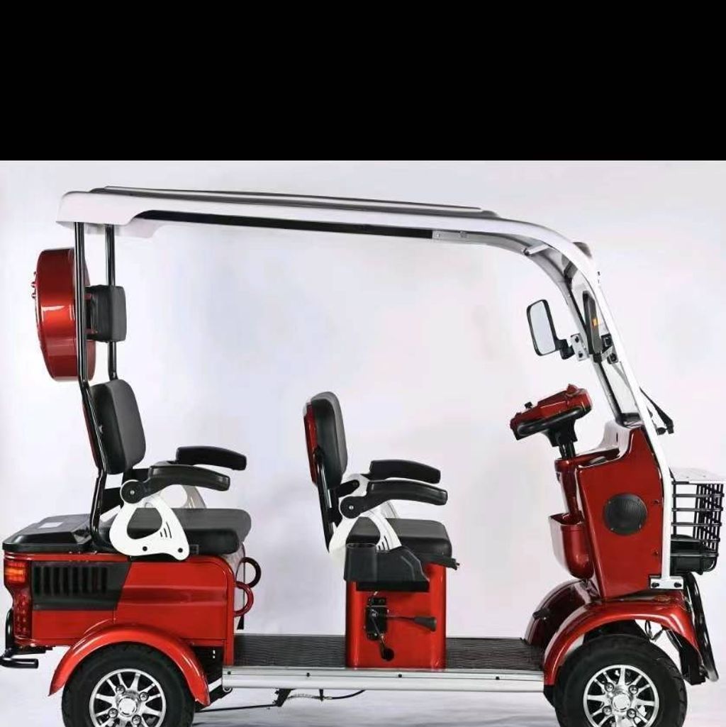 buggy (2)