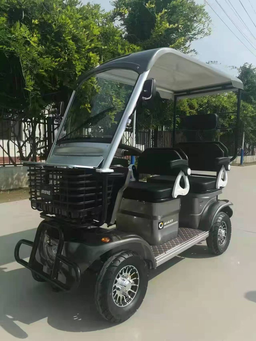 buggy (3)