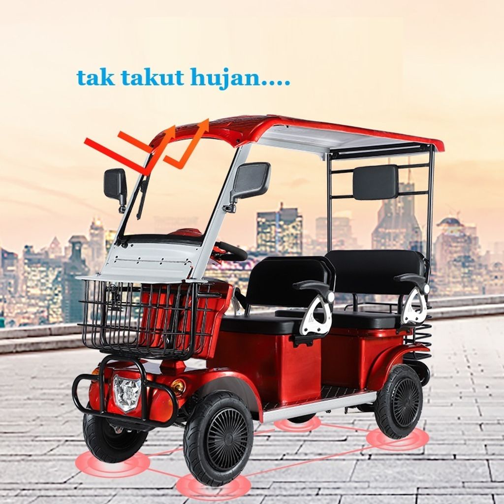 buggy (6)