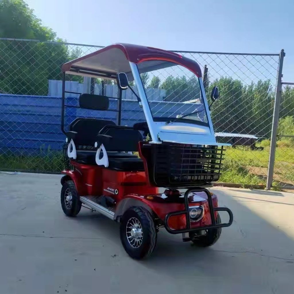 buggy (10)