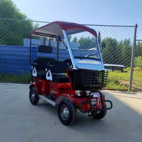 buggy (10)