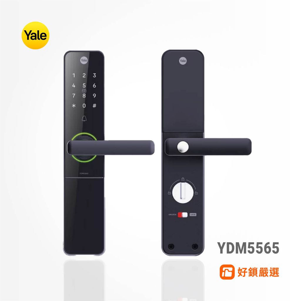 YDM5565 (1)