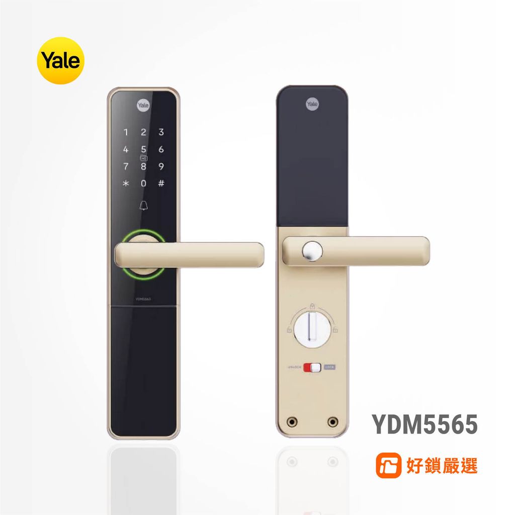 YDM5565 (2)